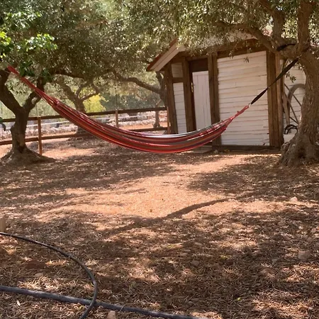 Vitto * Martina Franca