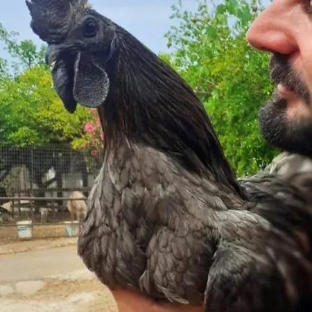 Lägenhet Vitto Martina Franca