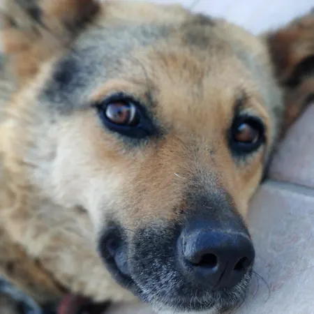 Lägenhet Vitto Martina Franca