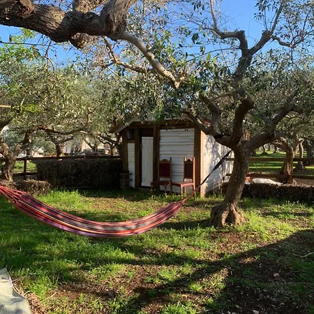 Vitto * Martina Franca