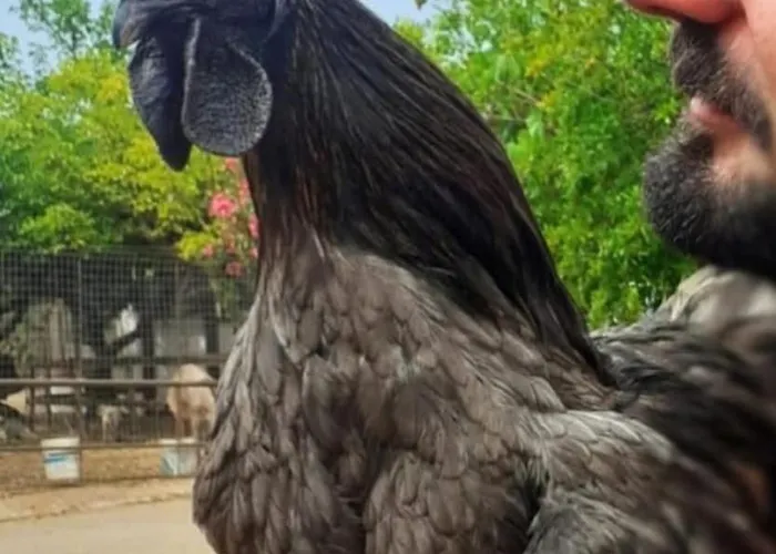 Appartamento Vittò Martina Franca