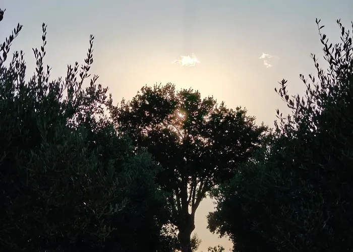 Appartement Vitto Martina Franca